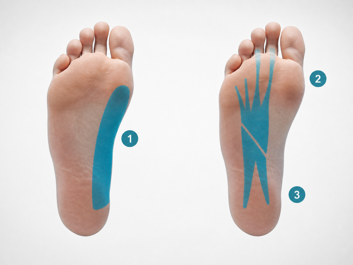 Renforcement Foot Core FHL
